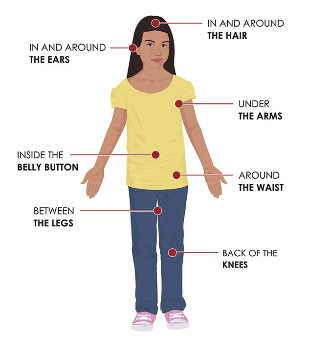 Where to check for ticks (CDC)